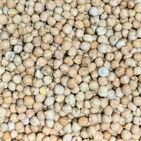 Csicseriborsó lédig