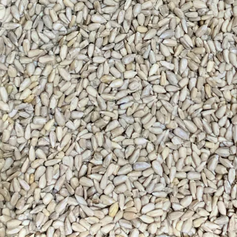 Hántolt natúr napraforgómag (szotyola) lédig