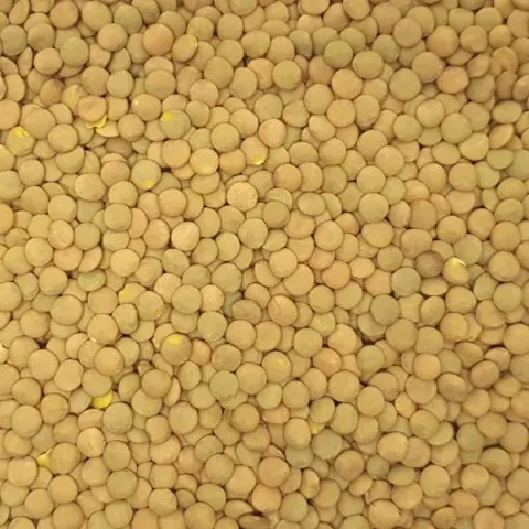 Nagymagvú lencse kimérve